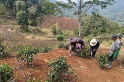 Quảng Ngãi cảnh báo thời tiết cực đoan do mưa trái mùa