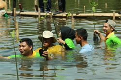 Indonesia hoàn thiện khung pháp lý, đẩy nhanh chương trình định giá carbon xanh