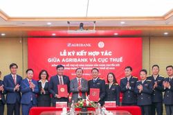 Agribank đồng hành cùng hộ kinh doanh: Kê khai thuế dễ dàng – Chuyển đổi doanh nghiệp vững vàng