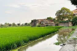Đất n&ocirc;ng nghiệp nằm lọt ph&iacute;a trong, kh&ocirc;ng gi&aacute;p đường c&oacute; được chuyển l&ecirc;n đất ở?
