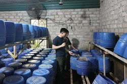 Đột kích loạt xưởng sản xuất hàng tấn giá đỗ dùng 'nước kẹo' ở Quảng Ninh