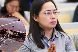 Học viên ở Hà Nội 'mắt đỏ hoe' xem clip tình huống tai nạn trước khi thi bằng lái ô tô