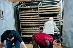 Xã Phúc Thọ nâng tầm nông nghiệp từ con giống gia cầm