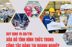 Quy định 19-QĐ/TW: Xóa bỏ tính hình thức trong công tác Đảng tại doanh nghiệp