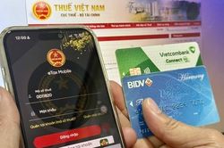 Hộ kinh doanh phải thông báo số tài khoản/ví điện tử chậm nhất vào ngày 20/4