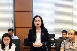 Thí điểm chế định luật sư công: Làm rõ hơn các nhóm việc trọng tâm để tránh dàn trải nguồn lực