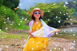 Du khách đổ xô vào rừng 'săn bướm', check-in cùng cây ráy 'khổng lồ' ở Ninh Bình