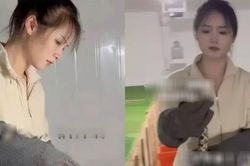 Con gái tốt nghiệp đại học, về làng giúp bố nuôi 60.000 con rắn, kiếm tiền tỷ