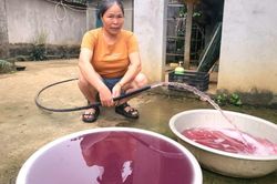 Vụ nước giếng màu tím: Công ty gây ô nhiễm phải tạm dừng hoạt động ngay