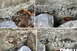 Hà Nội: Dự án cải tạo hồ hơn 25 tỷ đồng ở xã Trung Giã vừa hoàn thành đã có dấu hiệu xuống cấp?