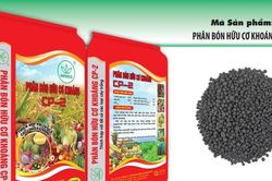 Phân lân Ninh Bình giữ đà tăng trưởng giữa biến động thị trường
