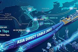 Vì sao Internet Việt Nam vào Top 10 thế giới và điều gì đứng phía sau?
