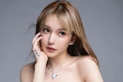 Người mẫu Lý Vũ Đồng bị cảnh sát bắt tạm giam