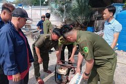 Kiên Hải tăng lực giữ rừng