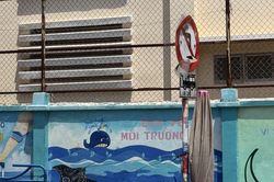Một số biển báo giao thông bị bong tróc, che khuất tầm nhìn