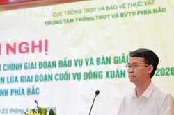 Bàn giải pháp phòng, chống sinh vật gây hại chính trên lúa Đông Xuân giai đoạn cuối vụ