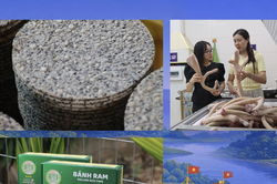 Tuần lễ sản phẩm Hà Tĩnh tại Thủ đô: Mở rộng đầu ra cho đặc sản địa phương