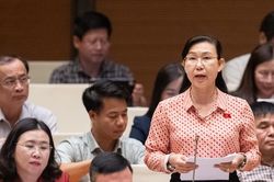 Đại biểu Quốc hội đề nghị bổ sung ti&ecirc;u ch&iacute; đ&aacute;nh gi&aacute; gắn với kinh nghiệm thực tế của luật sư c&ocirc;ng