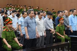 Giám đốc Công ty Hoàng Dân xin giảm án trong vụ đưa hối lộ 40 tỷ đồng