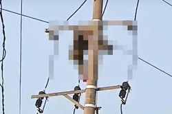 Trèo lên cột điện bắt chim, nam sinh lớp 9 bị điện giật tử vong
