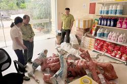 Tạm giữ 15 phôi cây muội hồng được tập kết tại bưu điện xã ở Thanh Hóa