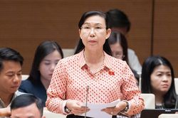 ĐBQH đề xuất không quy định thời gian tập sự với cán bộ, công chức làm luật sư công