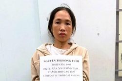 Bắt 'nữ quái' trộm nhiều tài sản trị giá gần 300 triệu đồng