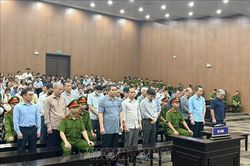 Giám đốc Công ty Hoàng Dân kháng cáo xin giảm nhẹ hình phạt