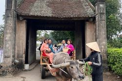Trải nghiệm du lịch độc đáo ở Đường Lâm