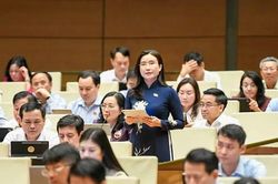 Đại biểu Nguyễn Phạm Duy Trang kiến nghị 5 nhóm giải pháp phát triển văn hóa từ sớm cho trẻ em