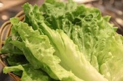 4 loại rau xanh hỗ trợ giải độc và bảo vệ gan