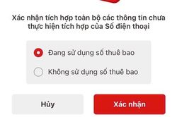 Cách xác nhận không sử dụng SIM lạ trên VNeID