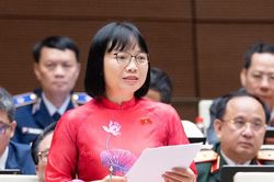 Đại biểu Quốc hội cảnh báo nguy cơ 'chia nhỏ' doanh thu để né thuế, đề nghị siết chặt cơ chế kiểm soát