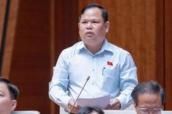 Đại biểu Quốc hội đề xuất ngưỡng chịu thuế với hộ kinh doanh từ 3 tỷ đồng