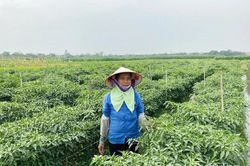 Vĩnh An tập trung nguồn lực xây dựng nông thôn mới nâng cao