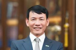 Cổ phiếu lao dốc, 'ông lớn' thi công truyền tải điện đối diện áp lực mới
