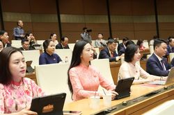 Quốc hội 'chốt' sĩ quan Quân đội, Công an được làm luật sư công