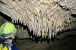 Phát hiện 26 hang động mới ở Phong Nha - Kẻ Bàng, có hang dài hơn 4km