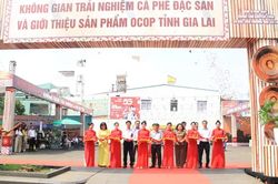 Đánh thức giá trị cà phê đặc sản, lan tỏa sản phẩm OCOP từ không gian trải nghiệm