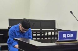 Trốn thuế qua hai hệ thống kế toán, Giám đốc Công ty NAC lĩnh án 5 năm tù