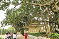 Mạch nguồn cách mạng giữa vùng trung du