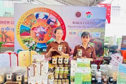 Mở không gian kết nối, Gia Lai tìm lời giải cho bài toán cà phê đặc sản