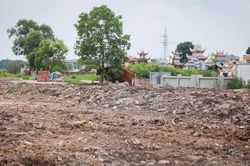 Bãi rác tự phát 20 năm sát nghĩa trang ở Ninh Bình đã được dọn dẹp