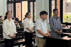 Nguyên Giám đốc Trung tâm Kiểm soát bệnh tật TP Huế lãnh án tù
