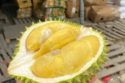 Sầu riêng giàu năng lượng nhưng 4 nhóm người không nên ăn