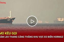 IMO kêu gọi giảm leo thang căng thẳng khu vực eo biển Hormuz