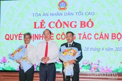 Công bố quyết định điều động, bổ nhiệm Chánh án TAND tỉnh Cà Mau