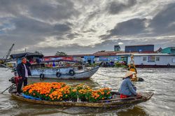 Bộ Chính trị: Sắp xếp, di dời dân cư khu vực thường xuyên ngập úng ở ĐBSCL