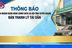 Chi nhánh Ngân hàng Chính sách xã hội tỉnh Tuyên Quang thông báo về việc bán thanh lý tài sản