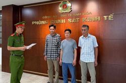 Bán thịt lợn nhiễm dịch tả châu Phi, 3 đối tượng bị khởi tố